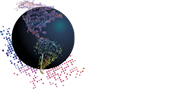 America Digital 2020
